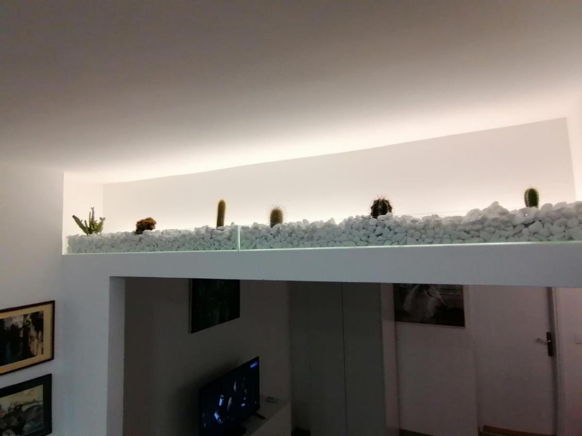 Apartman Dunja S Belgrad Dış mekan fotoğraf