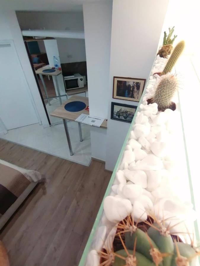 Apartman Dunja S Belgrad Dış mekan fotoğraf